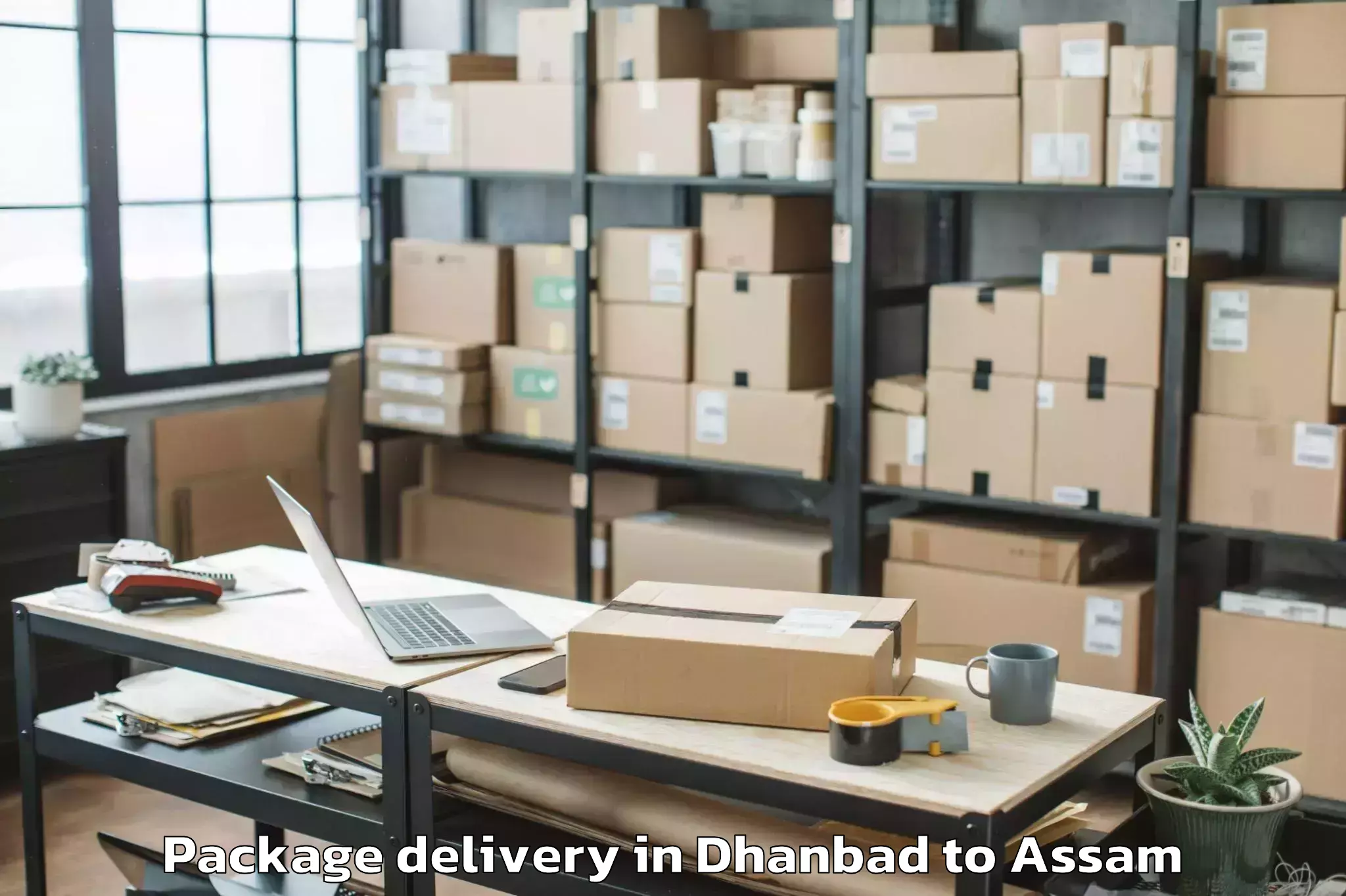 Top Dhanbad to Haflong Package Delivery Available